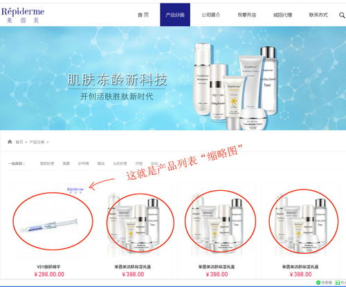 上海派網 一站式網站建設與SEO優化專家，助力企業在滬騰飛